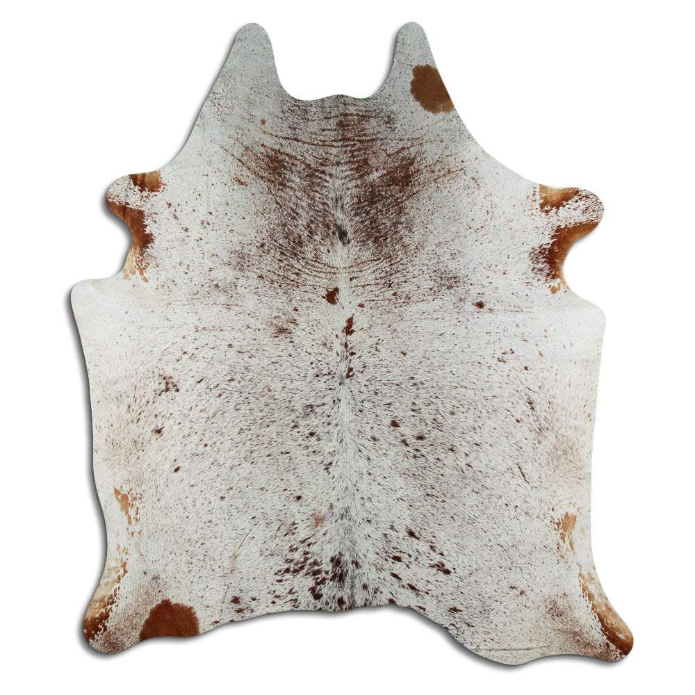 Salt & Pepper kohud XL