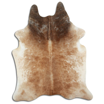 Brun kohud XL