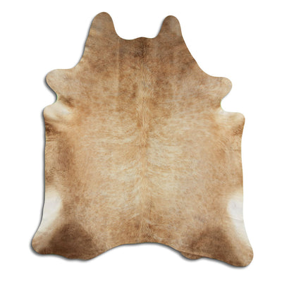Brun kohud XXL