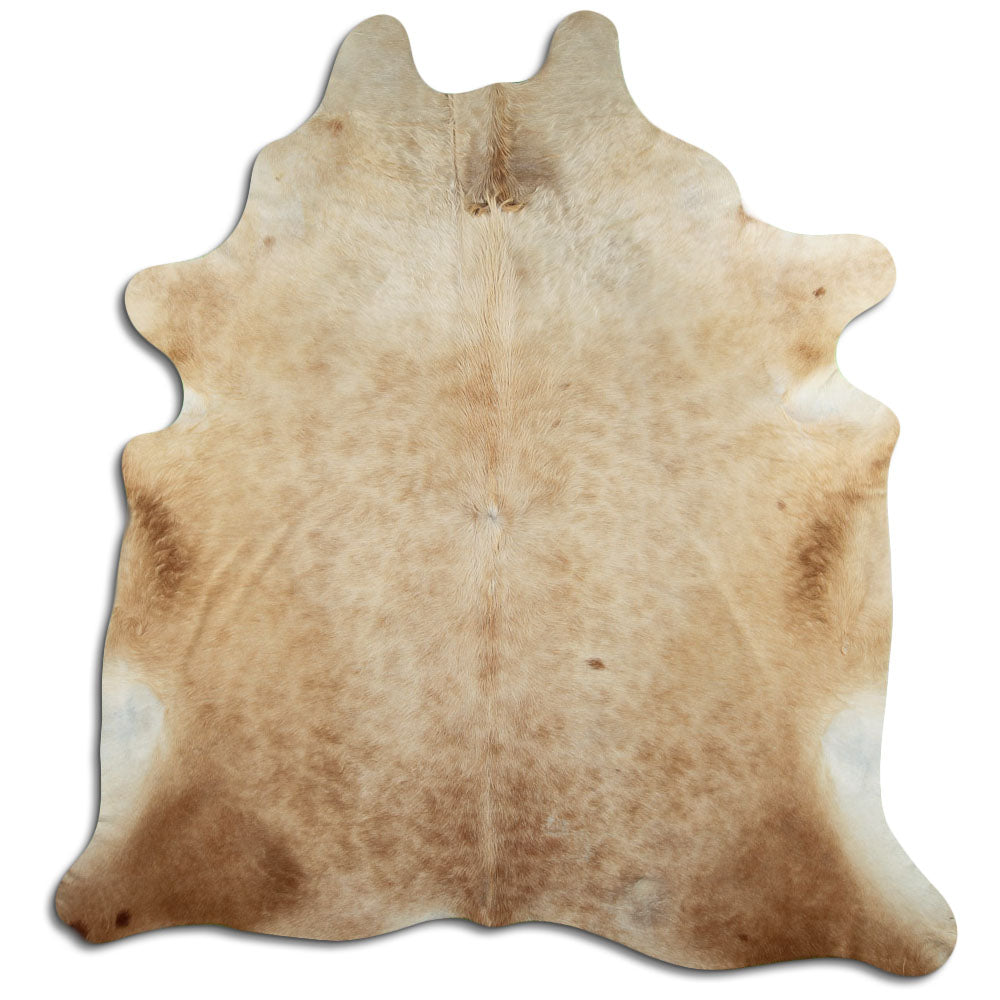 Brun kohud XXL