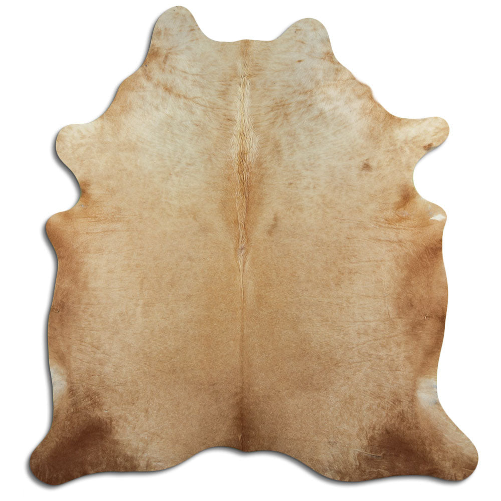 Brun kohud XL