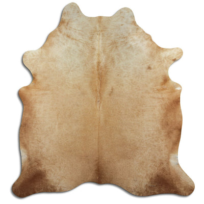 Brun kohud XL