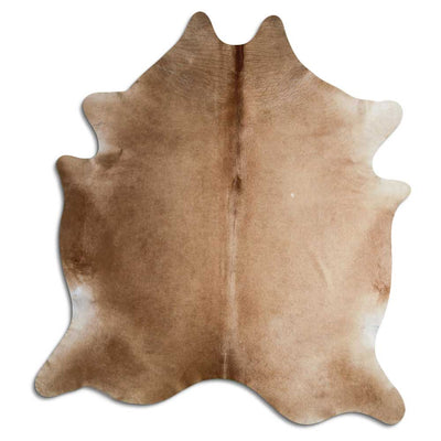 Brun kohud XL