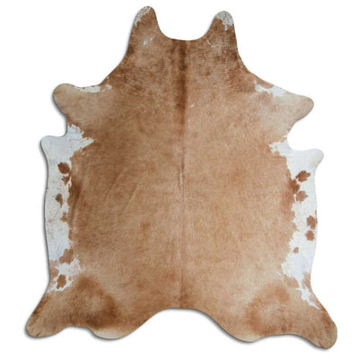 Brun kohud XXL