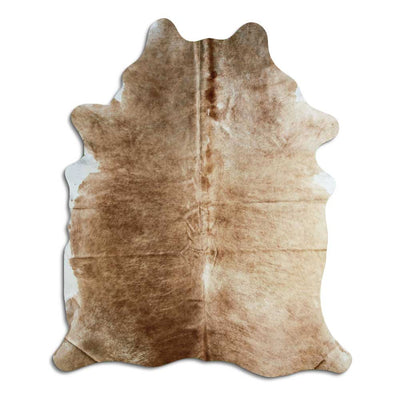 Brun kohud XL