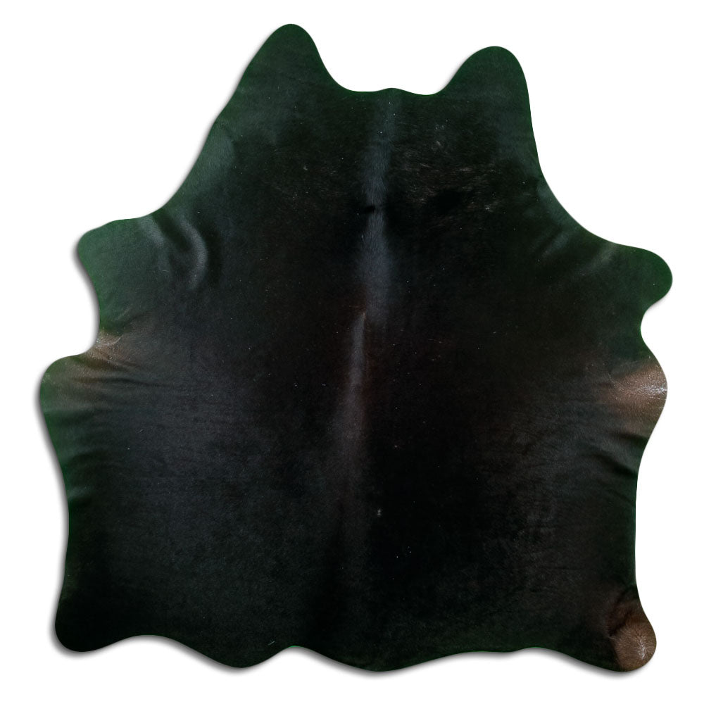 Svart kohud M