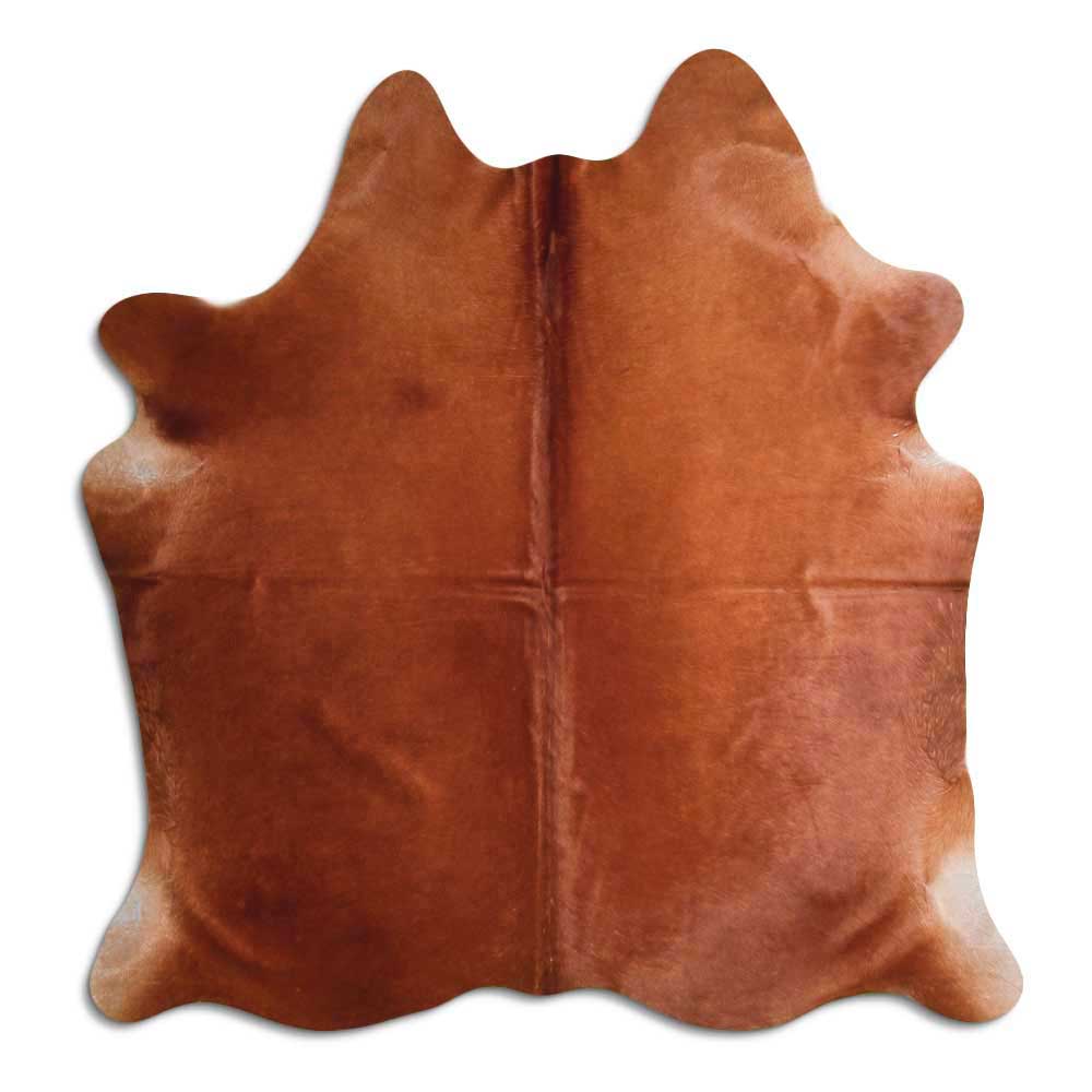 Brun kohud L