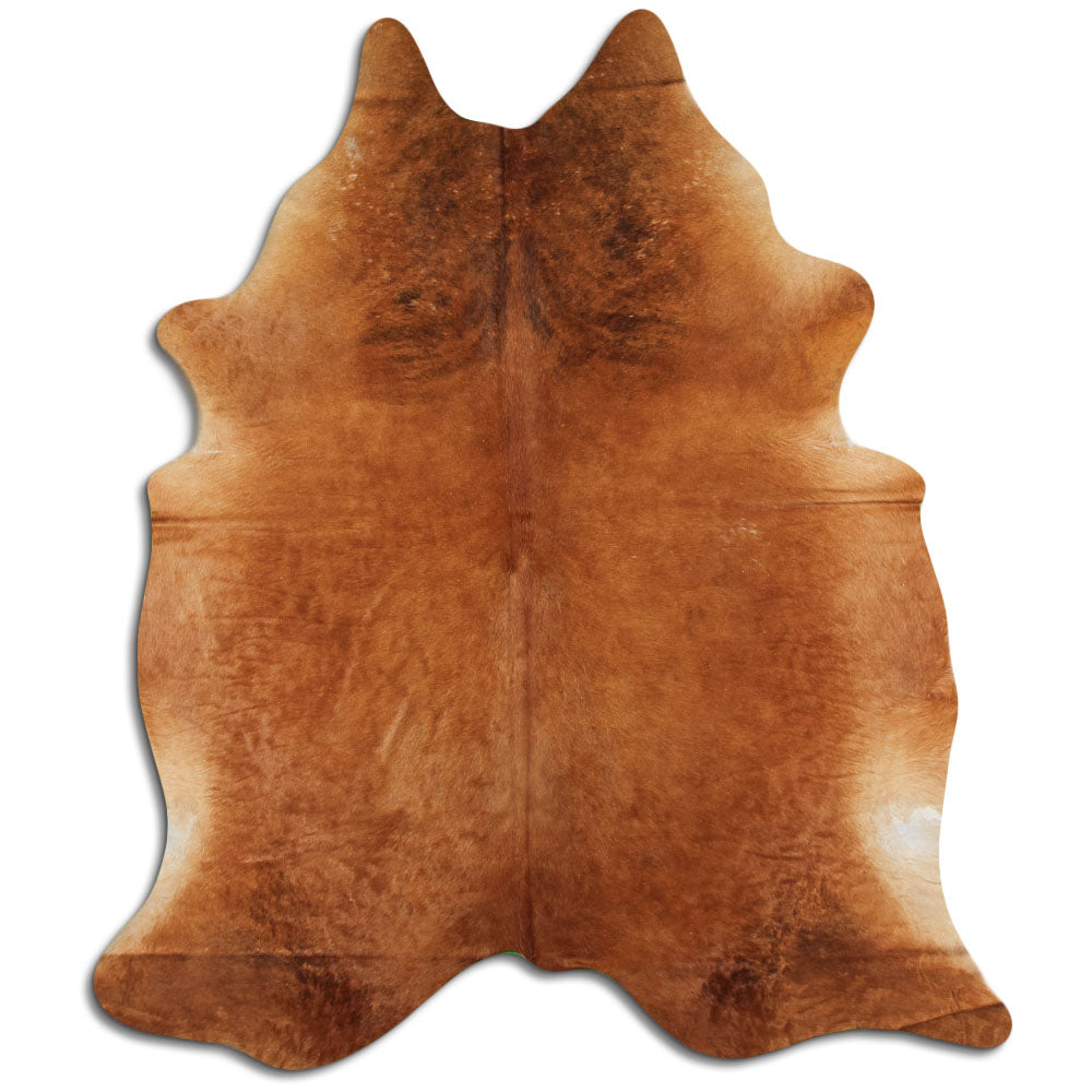 Brun kohud XXL