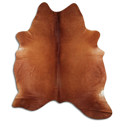 Brun kohud XXL