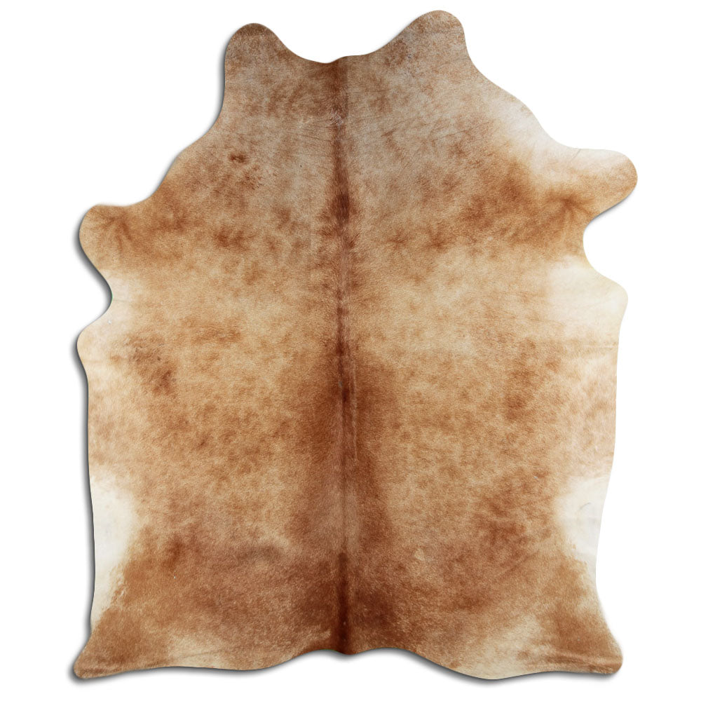 Brun kohud XL