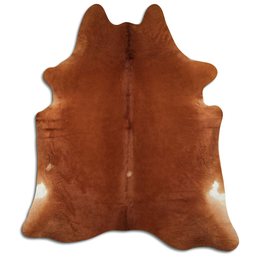 Brun kohud XL