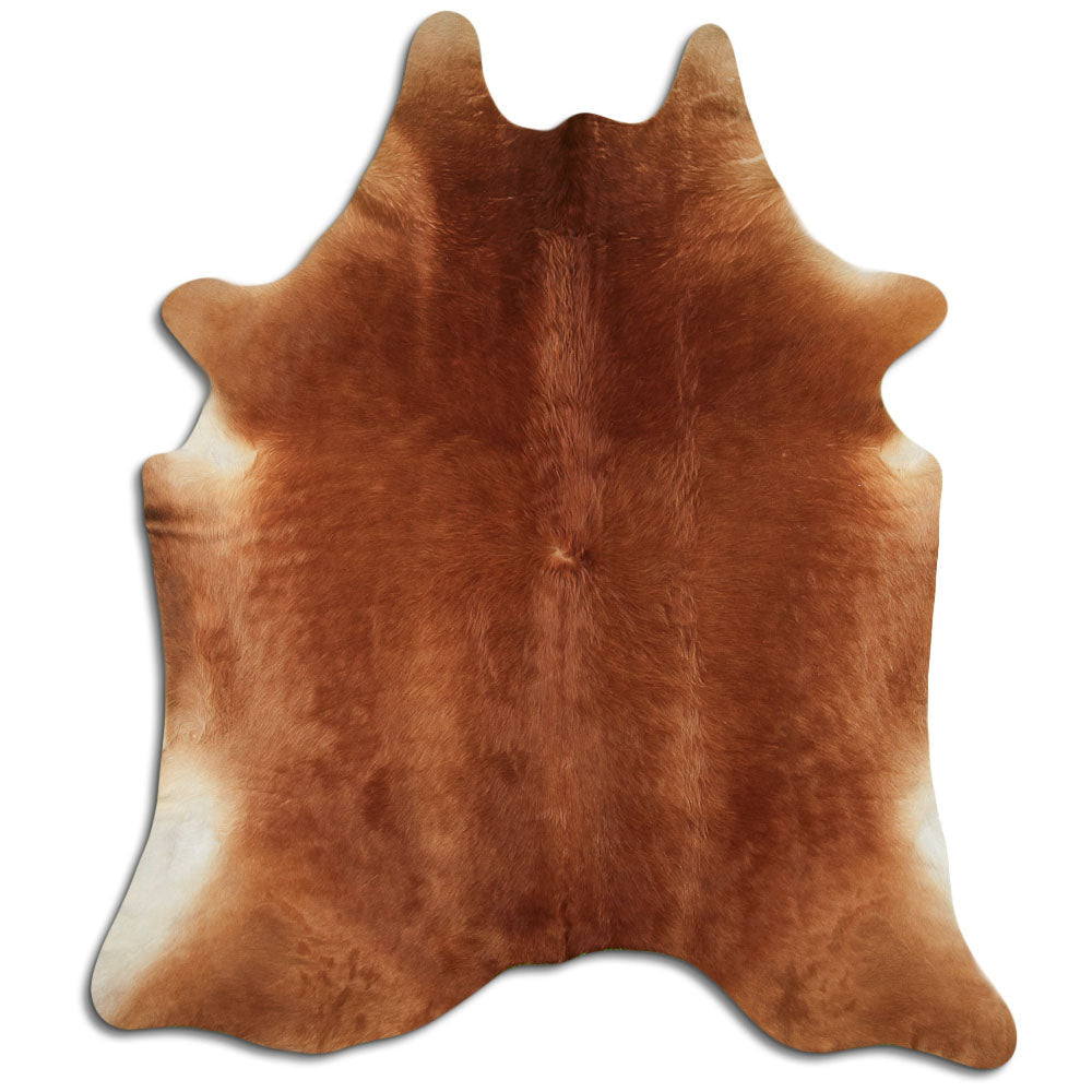Brun kohud XXL