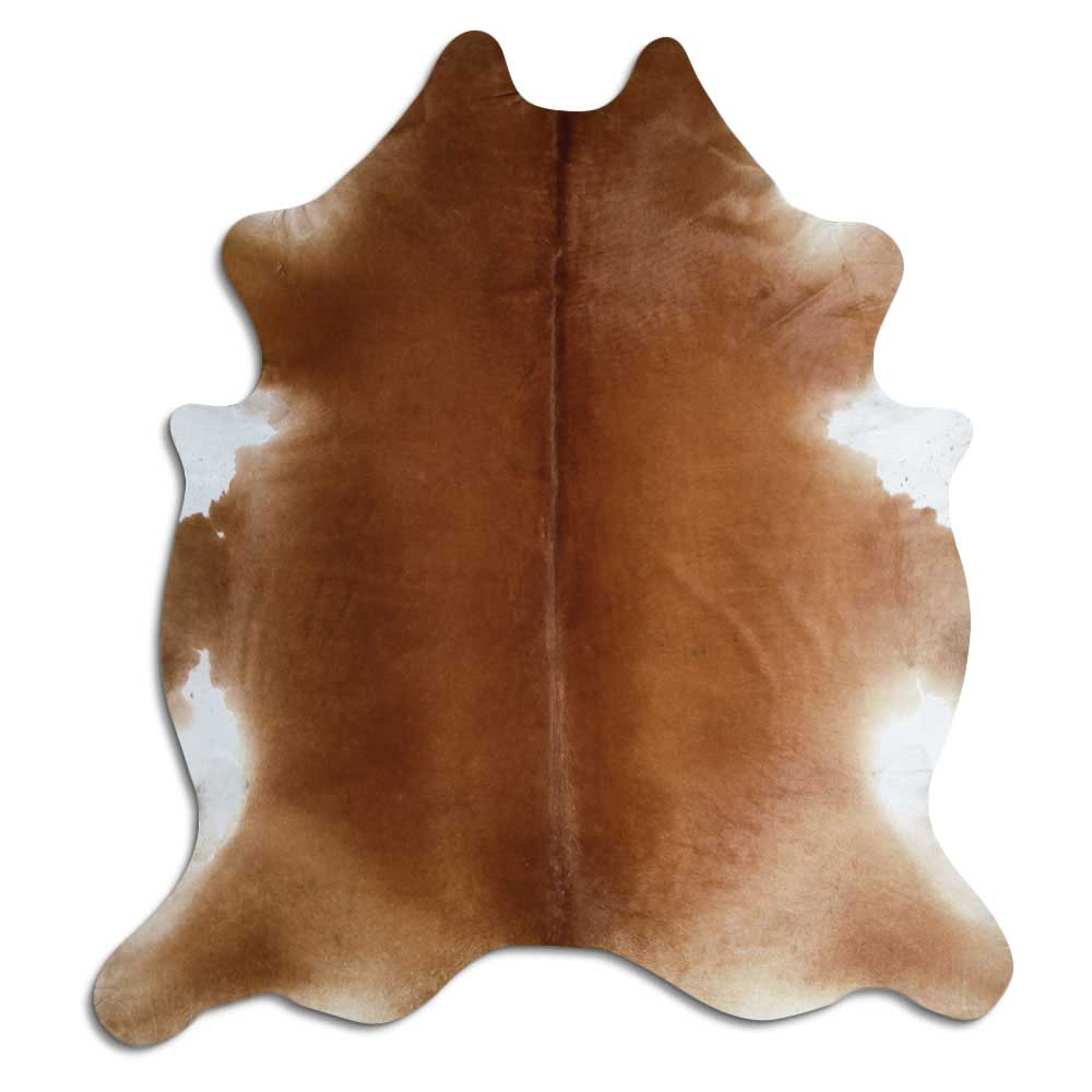 Brun kohud XL