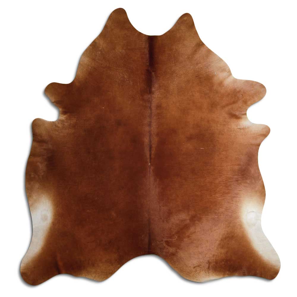 Brun kohud XXL