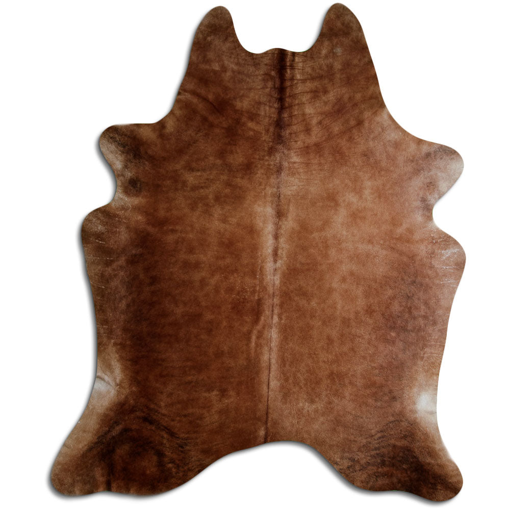 Brun kohud XXL