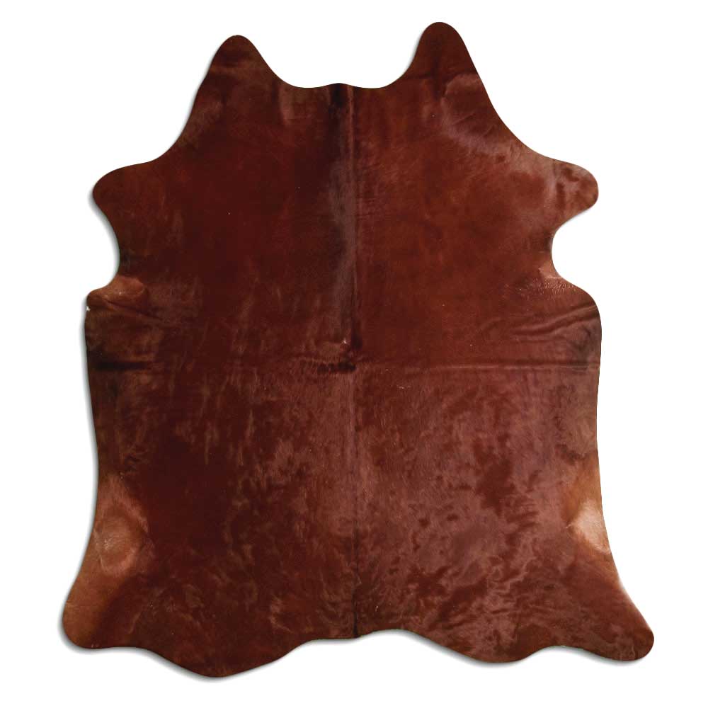 Brun kohud XL