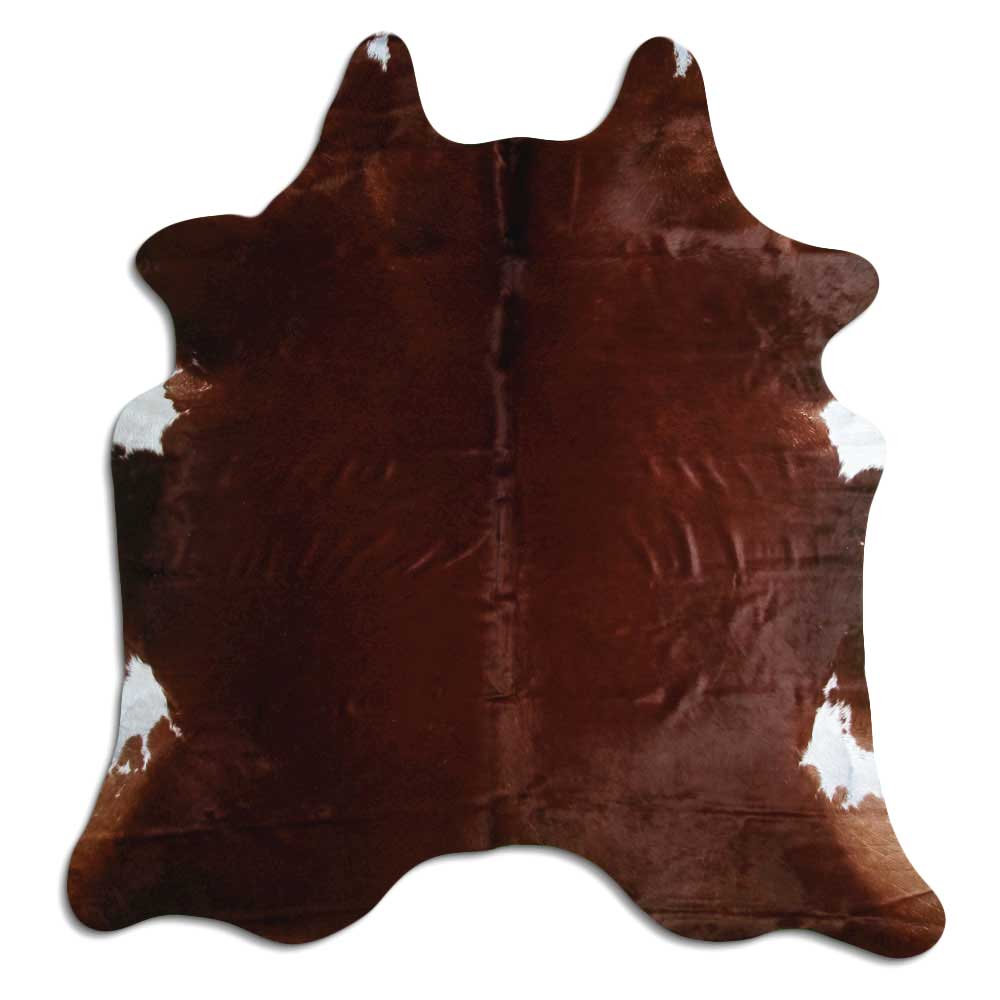 Brun kohud XL