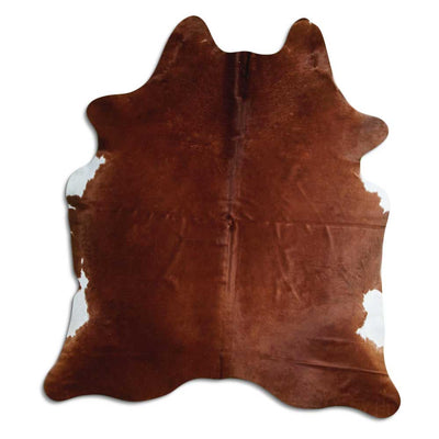 Brun kohud XL