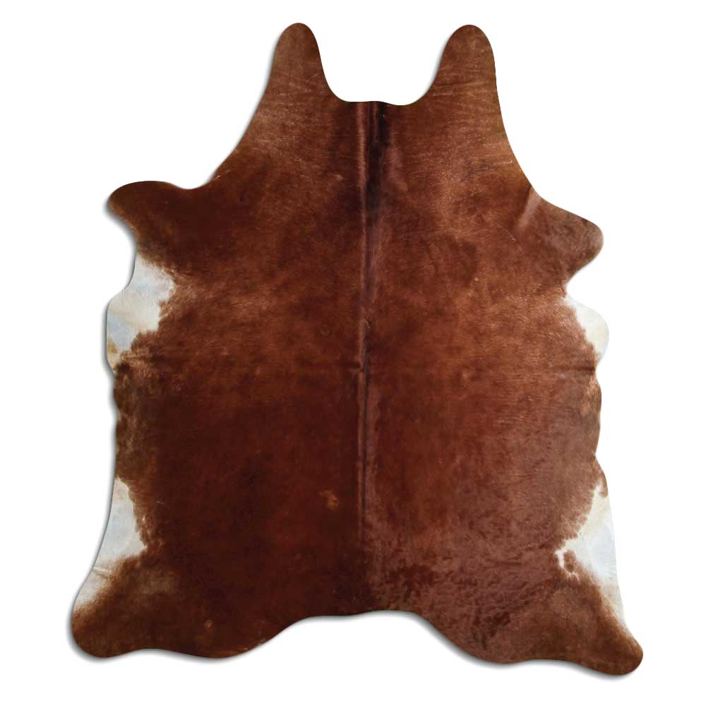 Brun kohud XL