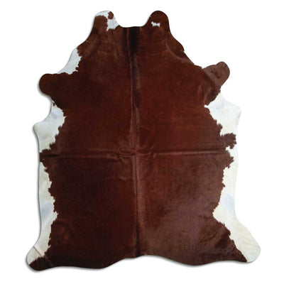 Brun kohud XL