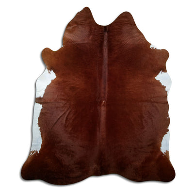 Brun kohud XL