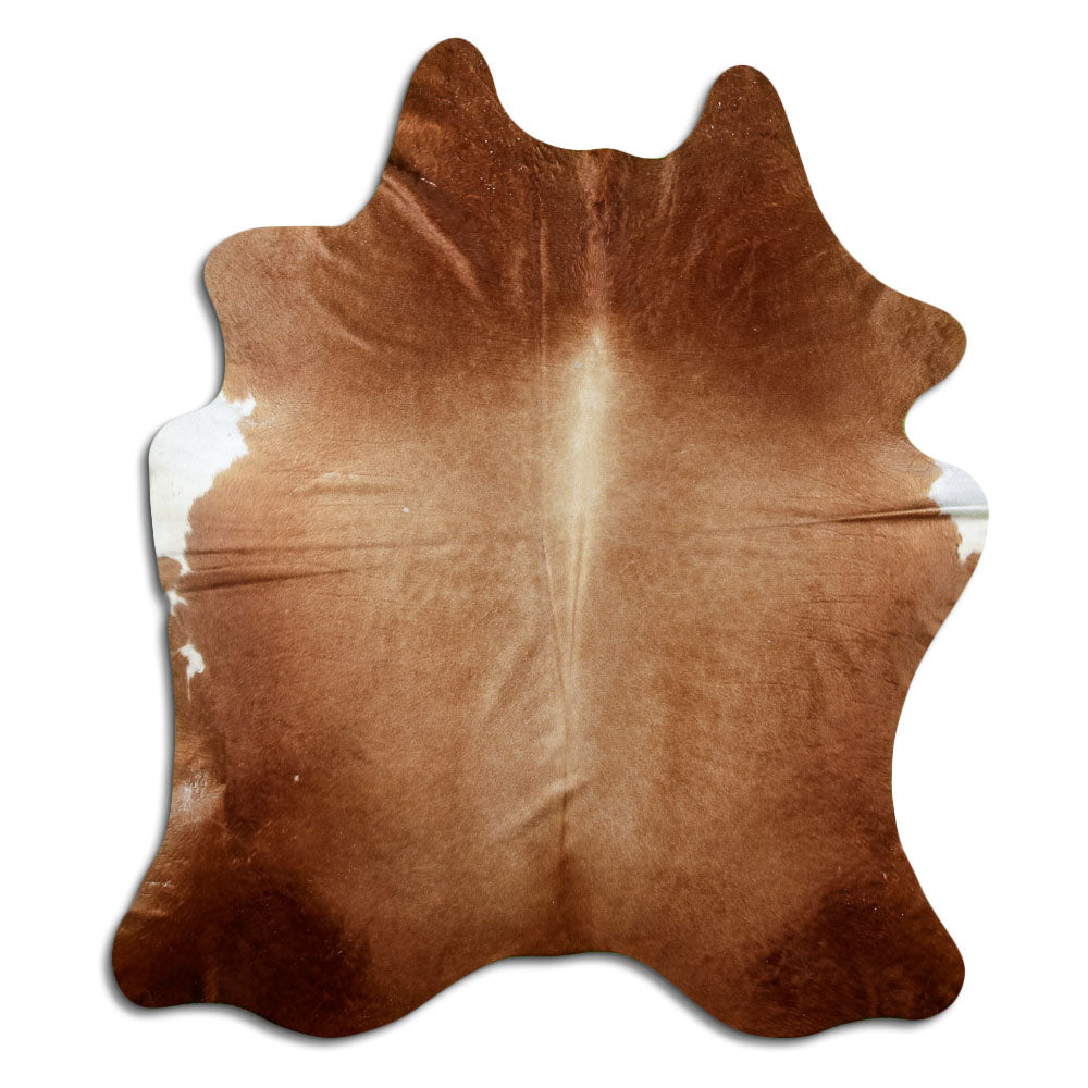 Brun kohud XL
