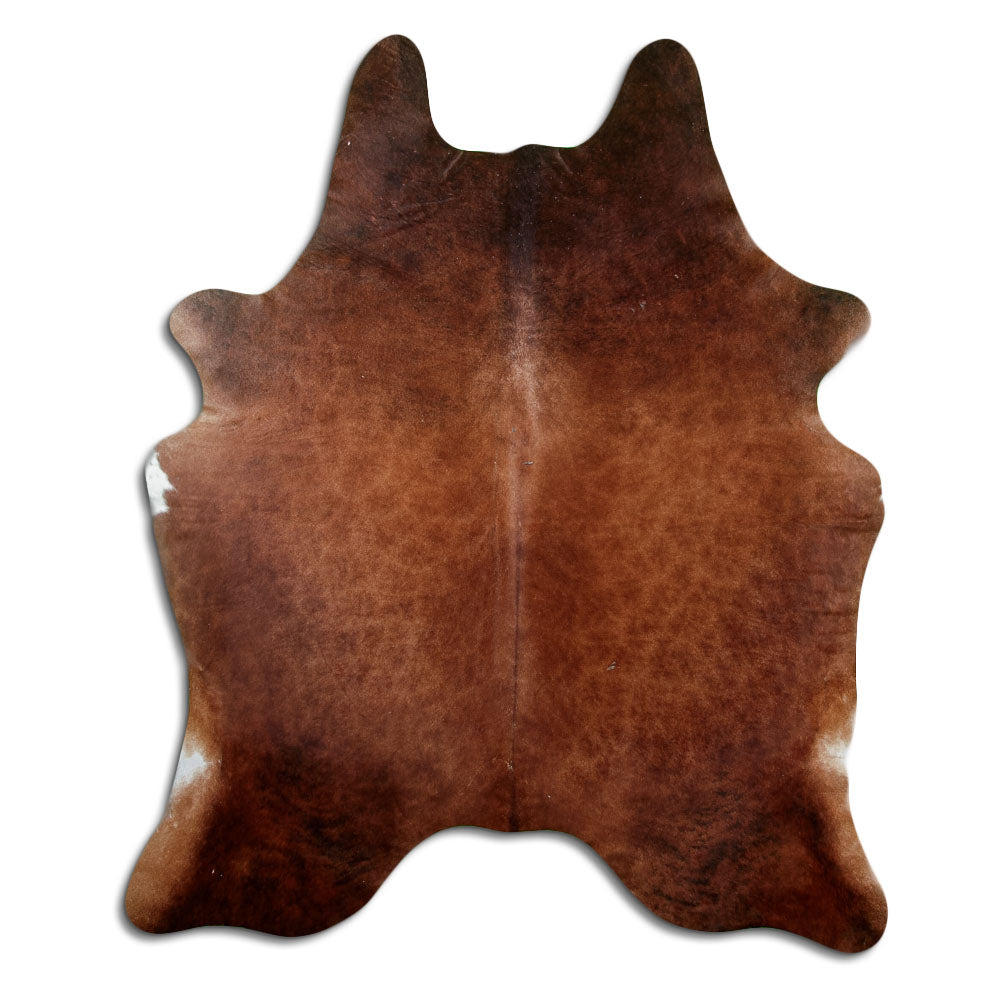 Brun kohud XL