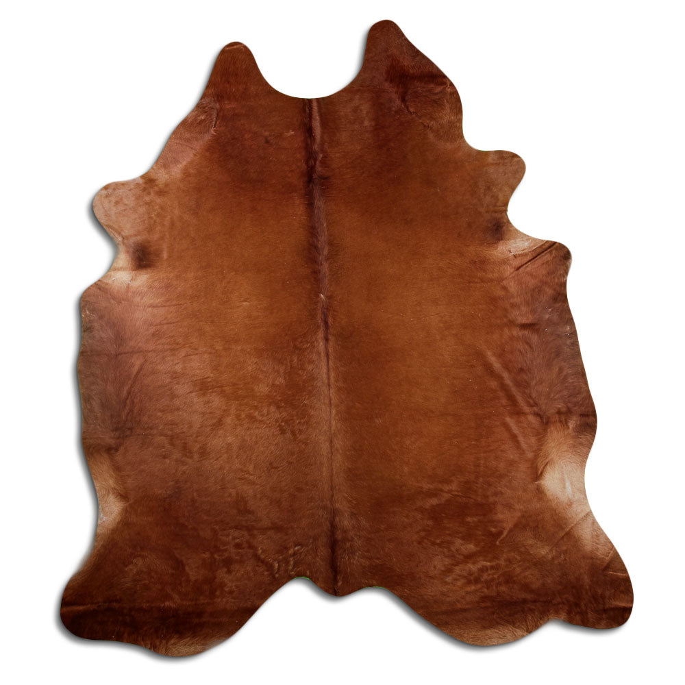 Brun kohud XXL