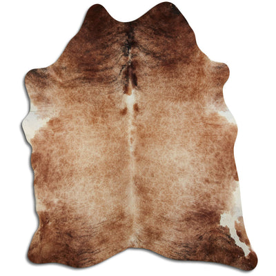 Brun kohud XL