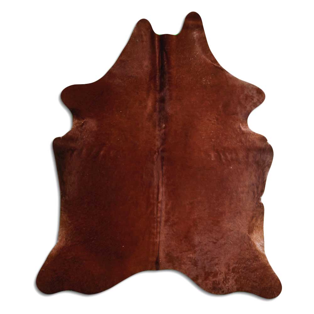 Brun kohud XL