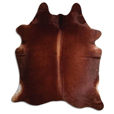 Brun kohud XL