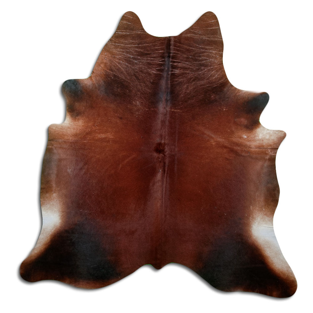 Brun kohud XL