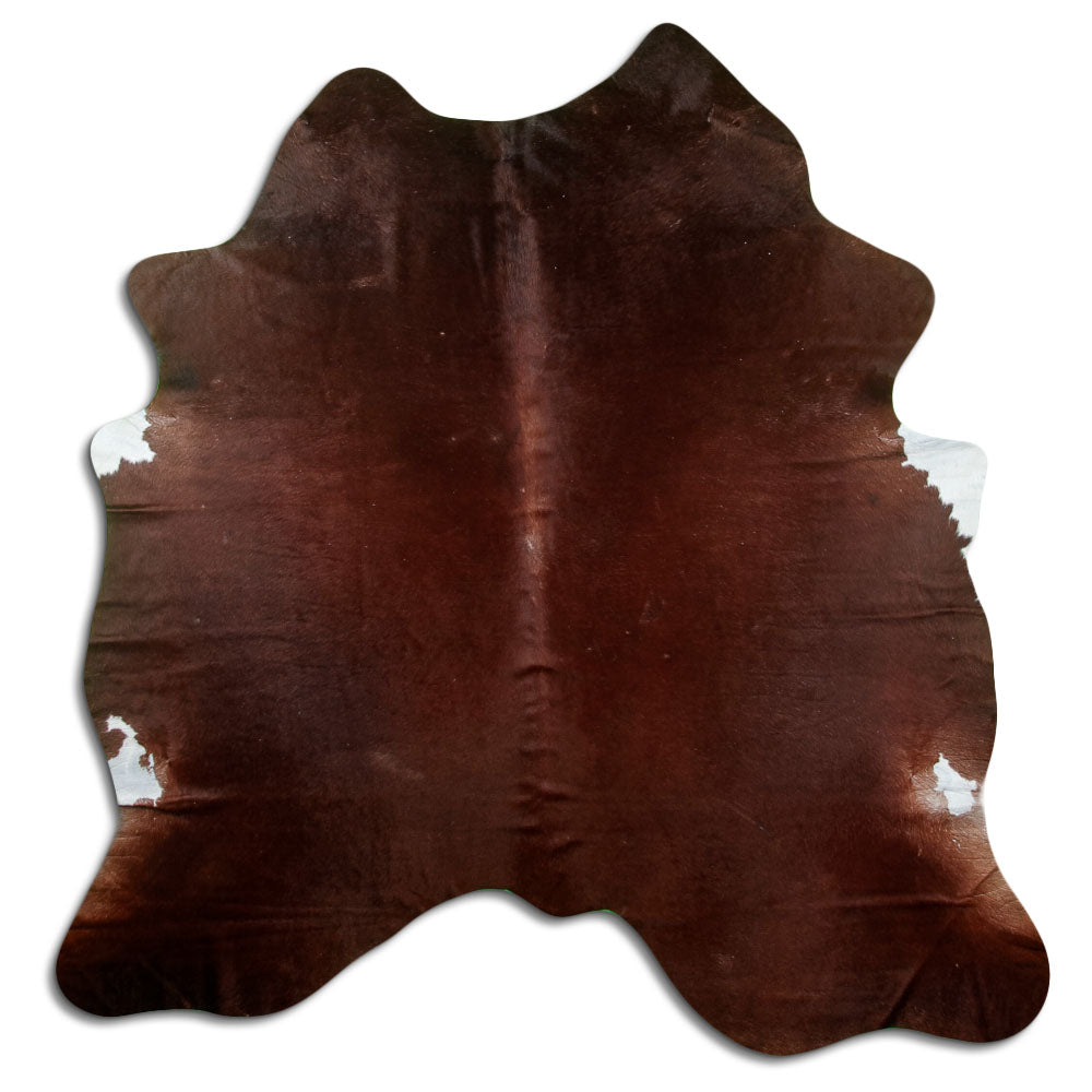 Brun kohud XL
