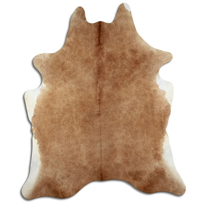 Brun kohud XL