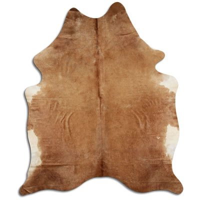 Brun kohud XL