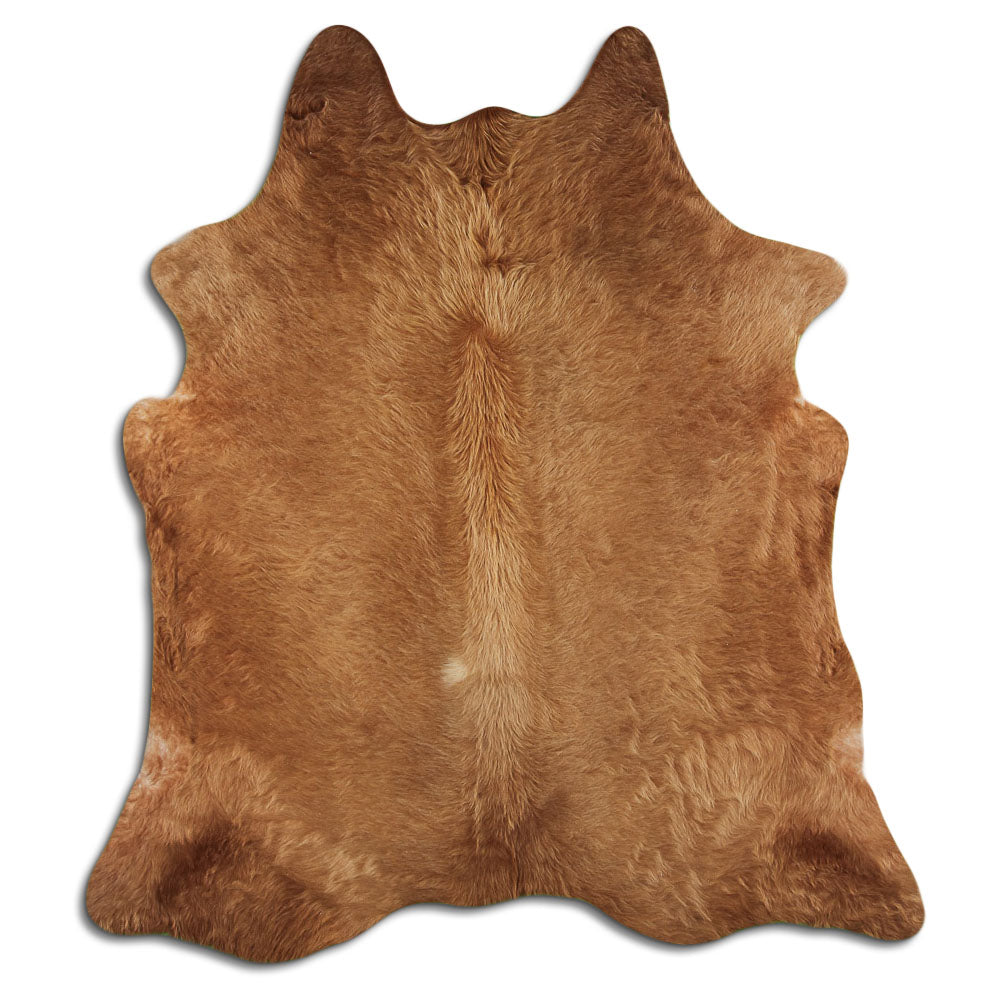 Brun kohud L