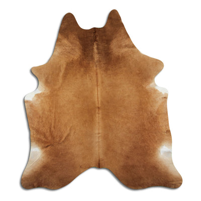 Brun kohud XXL