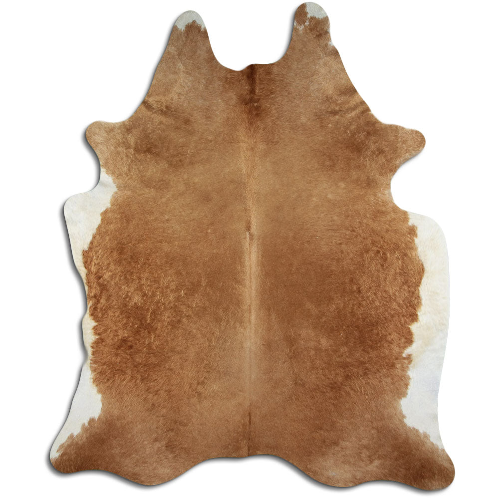 Brun kohud XXL