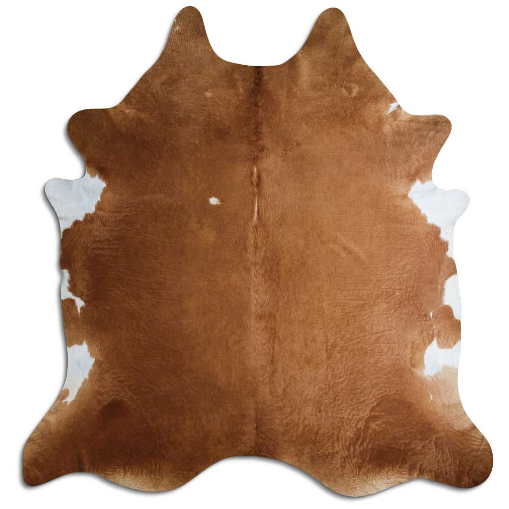 Brun kohud XXL