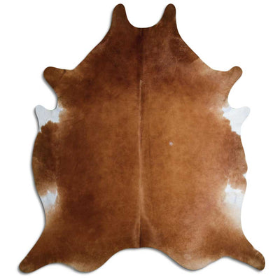 Brun kohud XXL