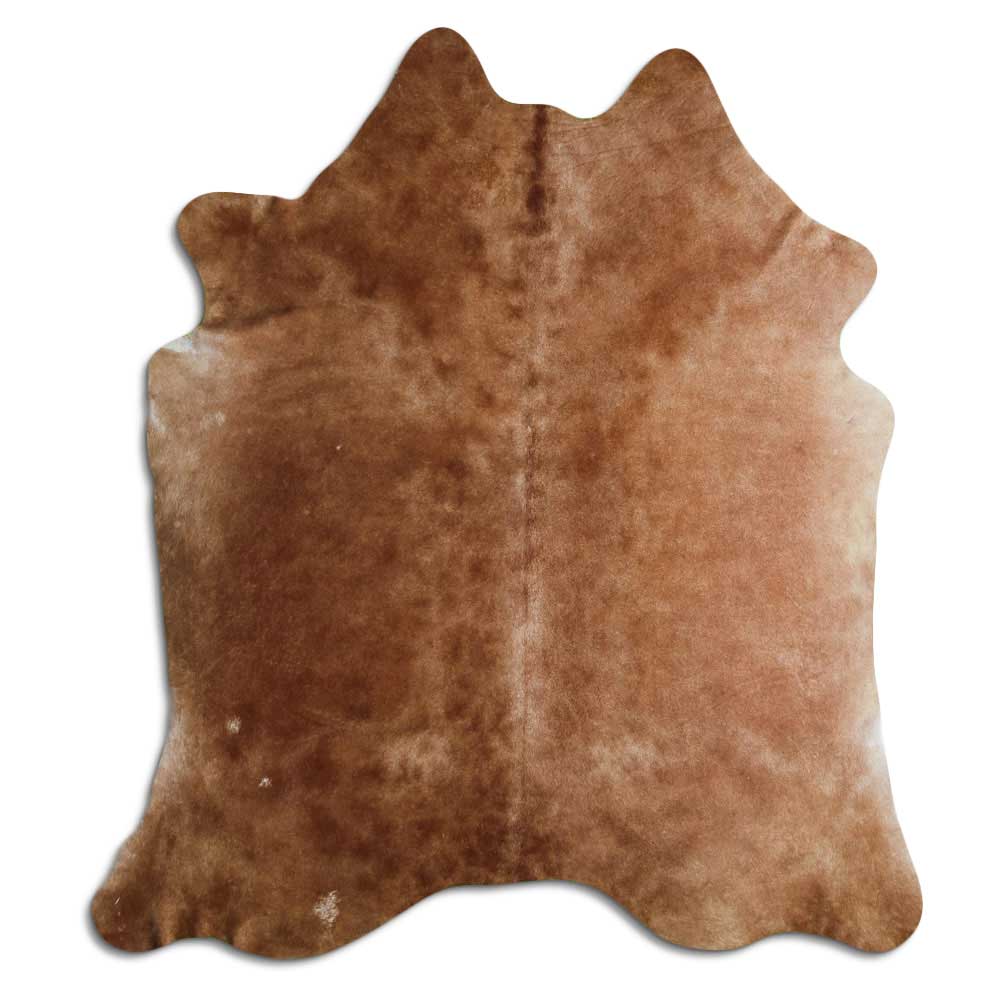 Brun kohud XL