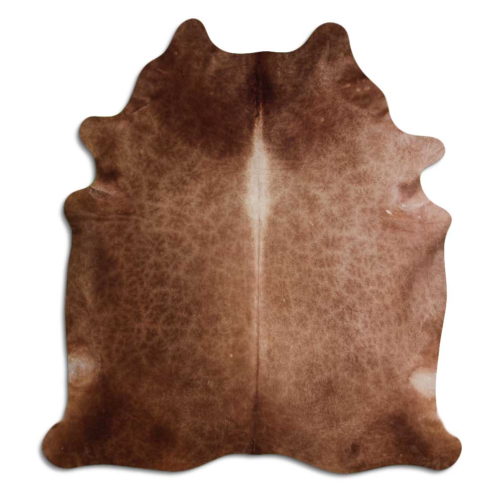 Brun kohud XL