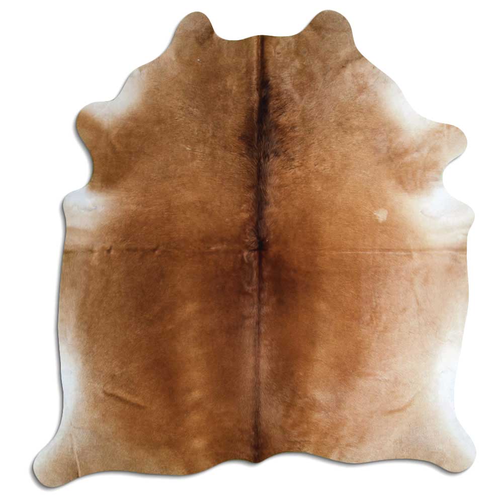 Brun kohud XL