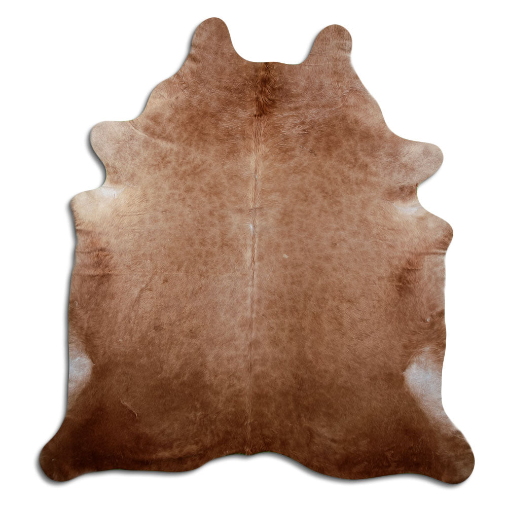 Brun kohud XXL