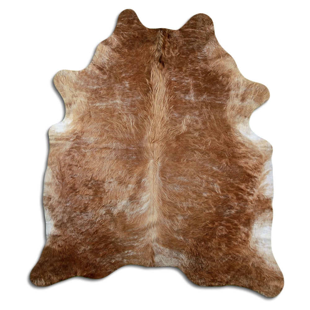 Brun kohud XL