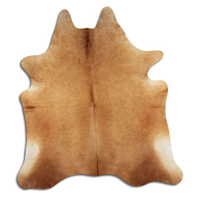 Brun kohud XXL