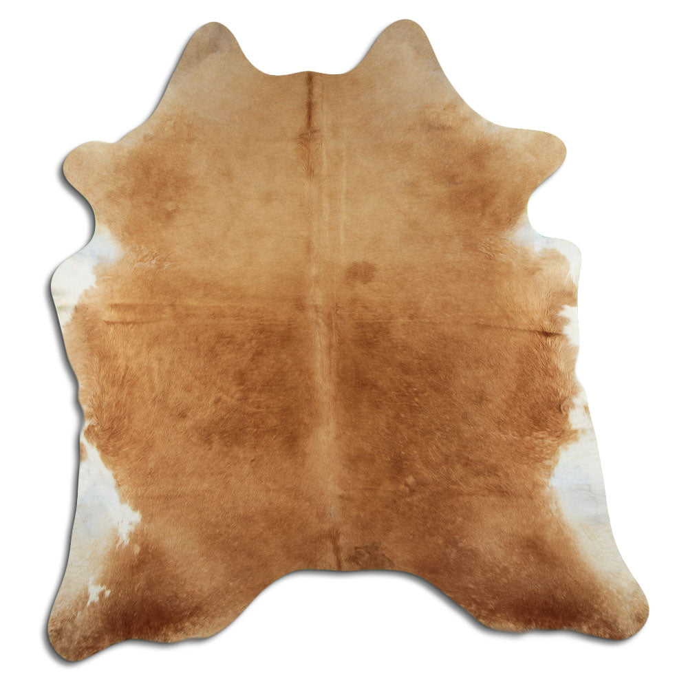 Brun kohud XXL