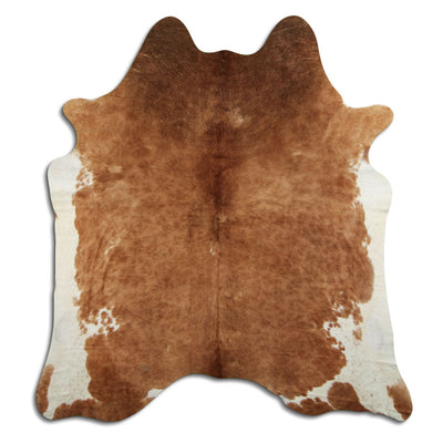 Brun kohud XXL