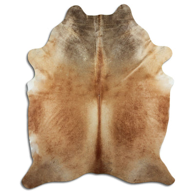 Brun kohud XXL