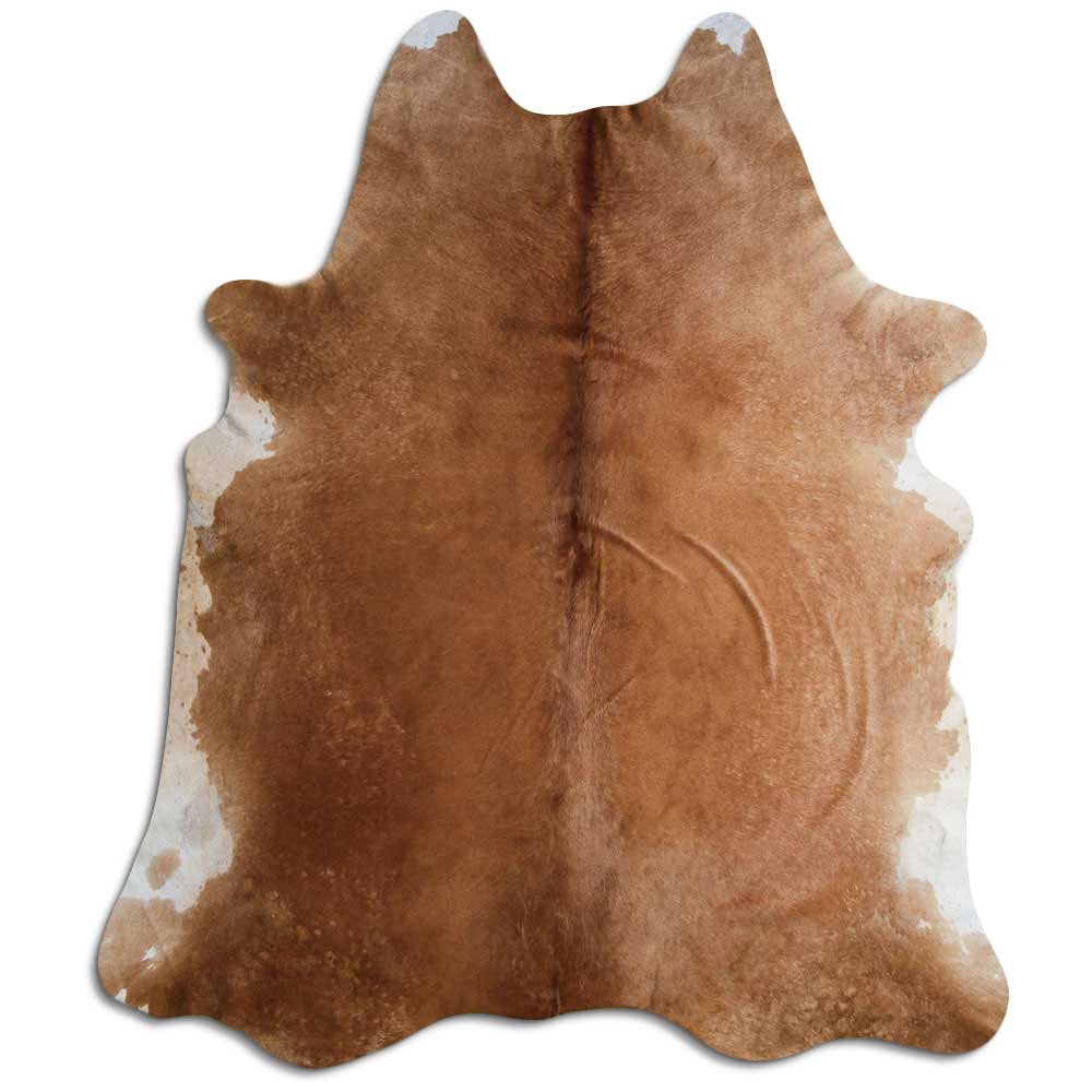 Brun kohud XXL